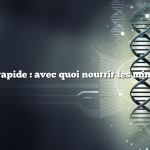 Réponse rapide : avec quoi nourrir les mini-cochons